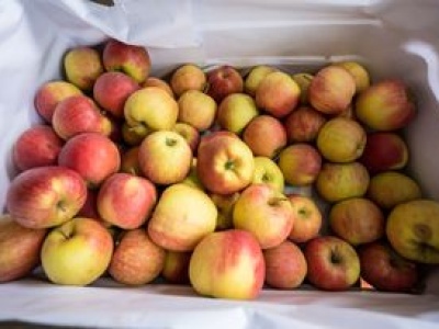 Niemieckie owoce tańsze niż polskie. Znamy różnicę w cenie