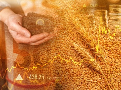 Matif: Pszenica szybko wraca do obniżek. Kukurydza i rzepak w górę