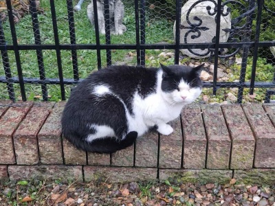 Został w nieczynnym ośrodku wczasowym. Maciuś potrzebuje domu