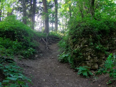 Siała postrach na średniowiecznych traktach. Kobieta hersztem bandy zbójców