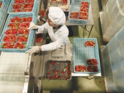 Syndyk wystawił spółkę na sprzedaż. Dwie przetwórnie idą pod młotek