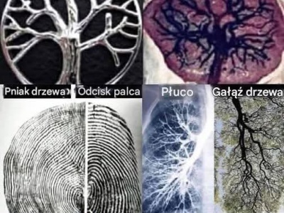 CZY NIEZALEŻNE MEDIA PRZETRWAJĄ?