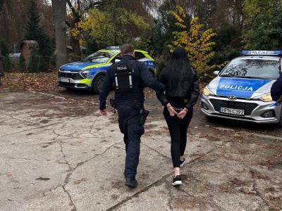 Wyszła na przerwę w odbywaniu kary za jazdę po pijanemu. Jechała pijana