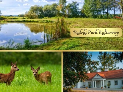 Nie ma mowy o żadnych odszkodowaniach. To opinia eksperta w sprawie kopalni w Rudzkim Parku Kulturowym