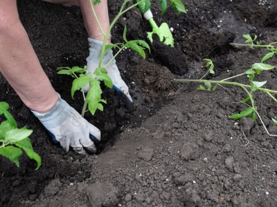 2 tysiące kary za dzielenie się z sąsiadem. Mało kto wie o tych przepisach