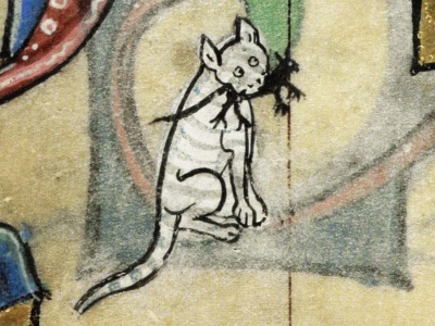 Koszmar średniowiecznych kotów. To przez ten proceder wciąż mówi się o „kupowaniu kota w worku”