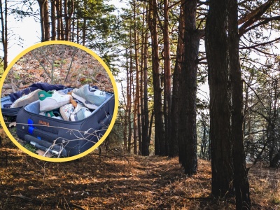 Leśnicy natknęli się na 