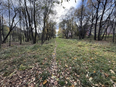 W ochronie przyrody. Na Stawowej powstanie park naturalistyczny