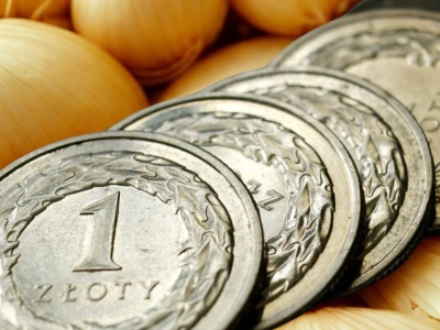 Hurtowe ceny cebuli. Sprawdź, gdzie dzisiaj sprzedasz cebulę najdrożej