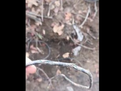 Są istną plagą na froncie. Potrafią nawet sparaliżować komunikację