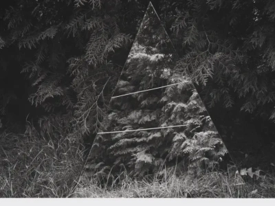 Fotografia artystyczna: natura jako rekwizyt