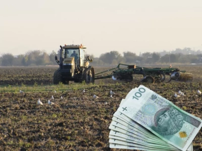 Ponad 140 tys. rolników dostanie 260 zł/ha. Ten ekoschemat bije rekordy popularności