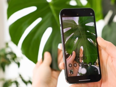 Jak działają aplikacje do rozpoznawania roślin? Wiadomo, kiedy im nie ufać