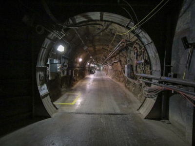 Trump nakazuje Pentagonowi 