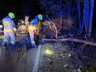 Ponad 700 interwencji strażaków. Silny wiatr daje się we znaki