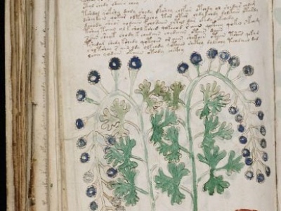 31 października w Historii Kresów