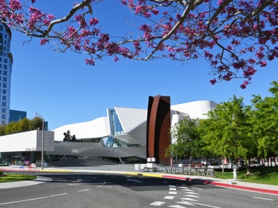 Złodzieje ukradli z magazynu muzeum sztuki ponad 1000 eksponatów. „Wykorzystali okazję”