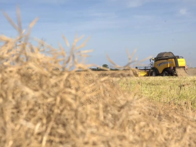 Sprzedaż kombajnu przez rolnika podatnika VAT: na jakich zasadach?