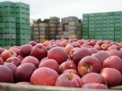 Kolejne napięcia i problemy… Litwa zamyka granice z Białorusią