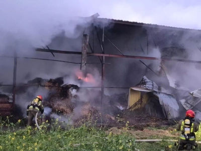 Ogromny pożar w gospodarstwie. Spłonęło bydło i pasze. Rodzina prosi rolników o pomoc