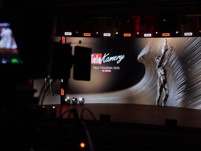 Telekamery 2025. Statuetki dla ulubionych prezenterów i celebrytów