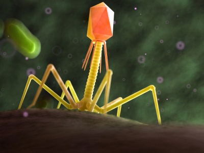 Polacy opracowali przełomową technologię. Uzdrowi ukraińskich żołnierzy