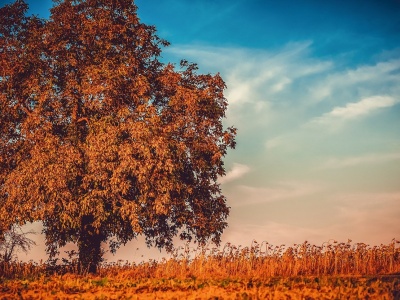 Słońce wraca do Polski! Zanim przyjdą przymrozki, czeka nas cieplutki tydzień