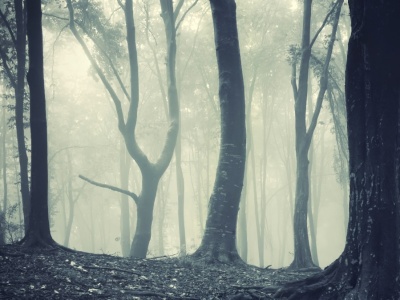 “Czuli się śledzeni”. Zagadka zaginionych ludzi do dziś pozostaje nierozwiązana