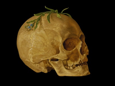 Meditatio mortis. Dlaczego codziennie powinniśmy myśleć o śmierci?