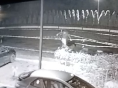 Brutalne pobicie kobiety! Przewrócił i kopał bez opamiętania! Policja publikuje wizerunek sprawcy. Opublikowano wstrząsające nagranie