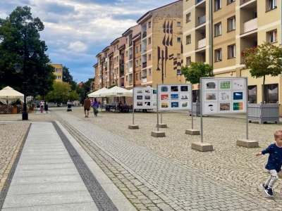 Bardzo dobre wyniki Legnicy w raporcie jakości życia