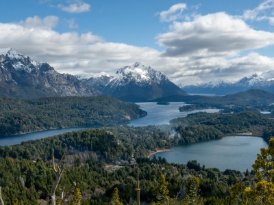 Gigantyczny dinozaur zniszczył asfalt. Jego kość była tak ogromna, że nie dało się jej przewieźć