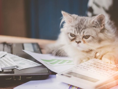 Rekordowa wycena Orlenu, inflacja poniżej 3% i niemieckie zero. Tydzień na wykresach