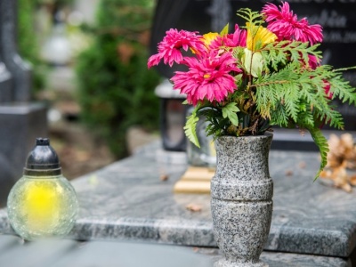 Nakarm tym kwiaty w Zaduszki. Będą świeże przez kolejne tygodnie