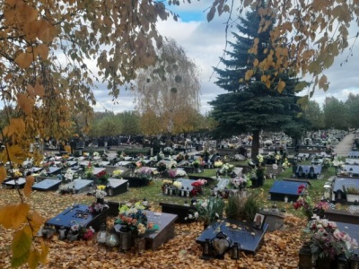 Cmentarz  Komunalny  – porządki, kremacje i cenny usług. Wszystko, co warto wiedzieć