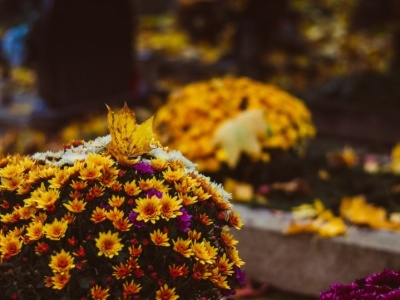 Czego nie robić w Zaduszki? Poznaj przesądy naszych przodków