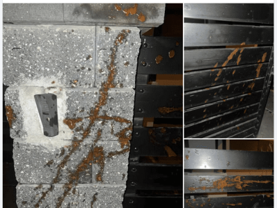 Halloween w Gnieźnie z aktami wandalizmu. Mieszkańcy mówią o braku wychowania i szacunku