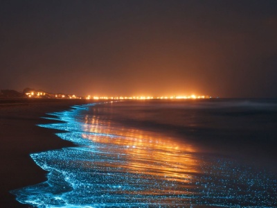 Zanurzasz rękę i woda zaczyna błyszczeć. Turyści oszaleli na punkcie tej laguny