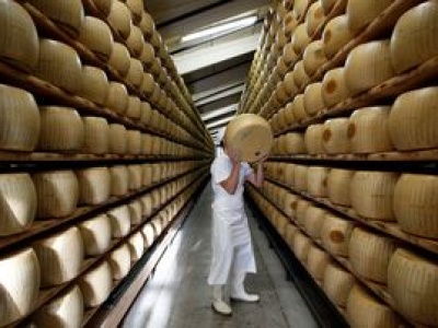 Przez 6 godzin kradli 42-kilogramowe kawały sera warte 100 tys. euro