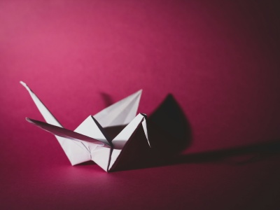 Origami i fizyka cząstek. Papierowe zagięcia, które rozwiązały zagadkę amplituhedronu