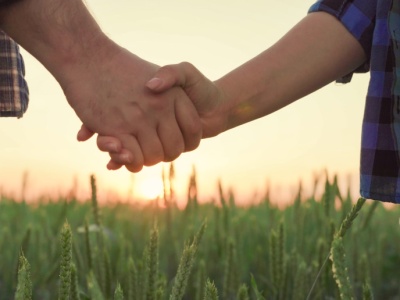 Pomówienia niszczą gospodarstwa. Rolnik też ma prawo do obrony. Zobacz porady prawnika