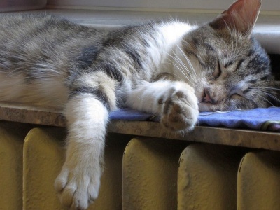 Nabór wniosków na bon ciepłowniczy