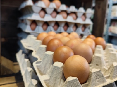 Jaja i drób w 2026 roku: rynek wciąż pod presją chorób, kosztów i w cieniu niepewności