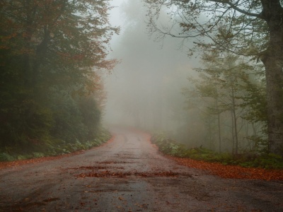 Jaki listopad trzeci, taki marzec się kleci