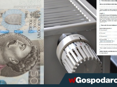 Do wzięcia nawet 3500 zł wsparcia. Jak złożyć wniosek?