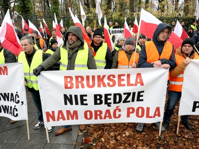 Protest rolników w Warszawie. „Rząd Tuska zapomniał o wsi”, twierdzi ekspert