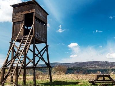 Aktywiści składają skargę na polskich myśliwych do KE. 