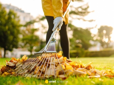 O trawnik warto zadbać też jesienią. Nie zapomnij w listopadzie o tych pracach