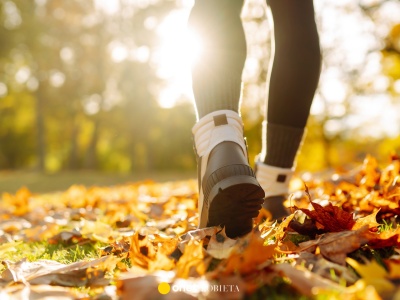 Spacer po lesie w listopadzie? Nadleśnictwo wydało komunikat. 