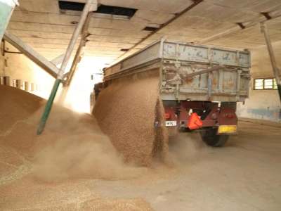 Magazyny polskich rolników pękają, a UE otwiera kolejne drzwi